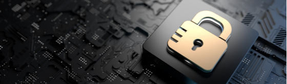 WT 66 Cybersecurity