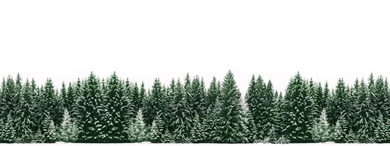 WT Plant Christmas Tree