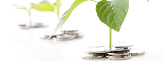 WT Sustainable money opportunities