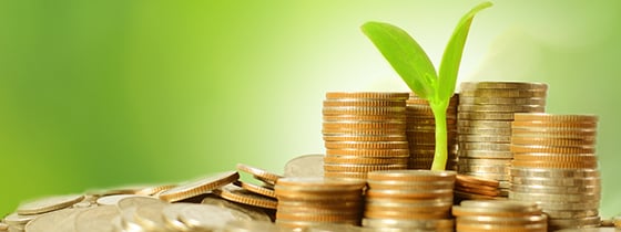 WT Sustainable value