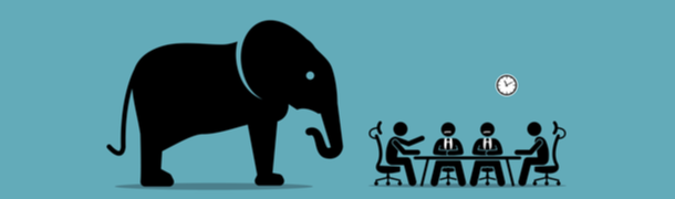elephant office