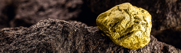 gold nugget