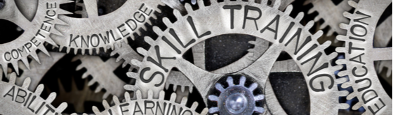 skills gears